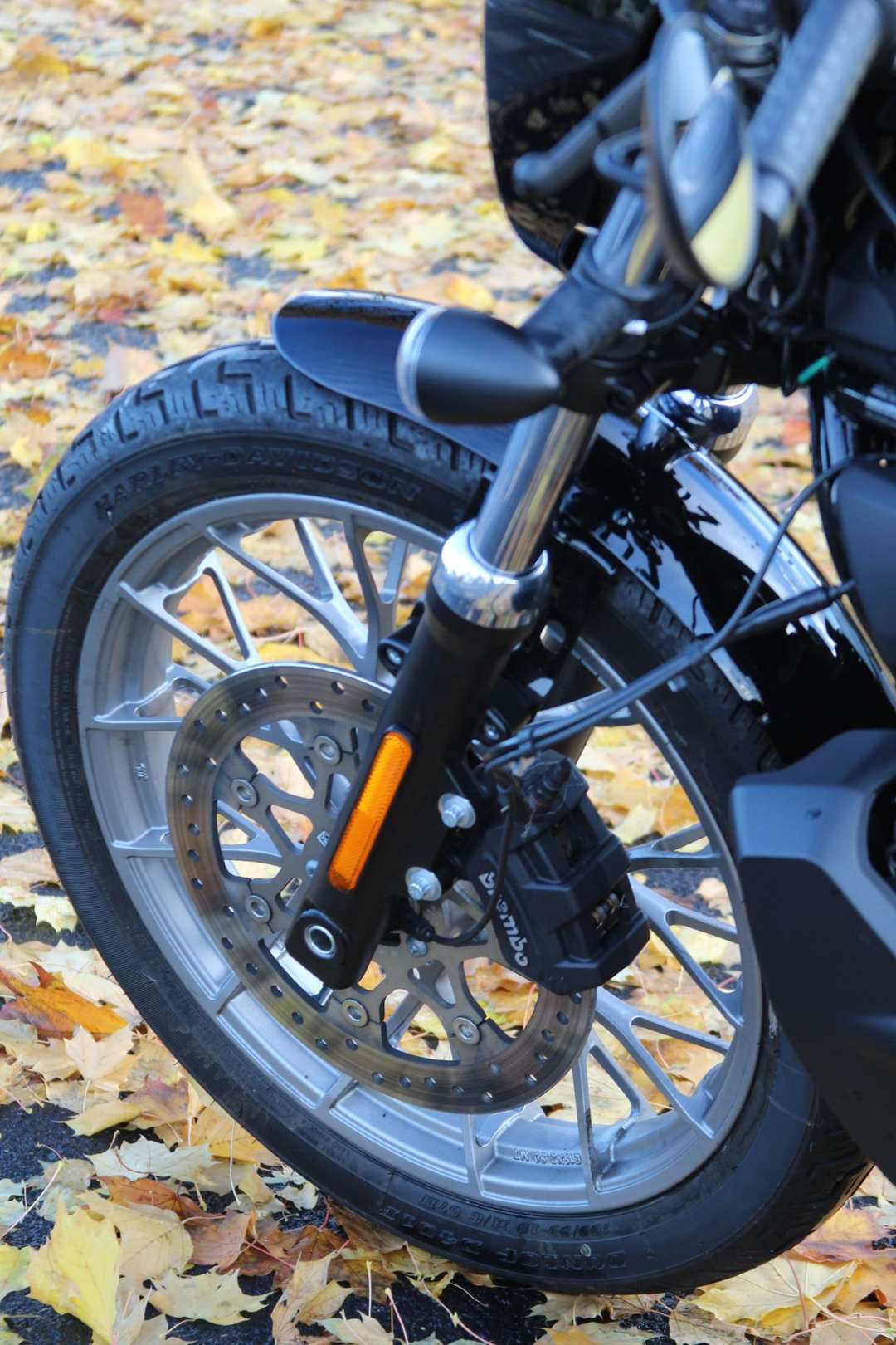 2023 Harley-Davidson Nightster® Special - Image 4