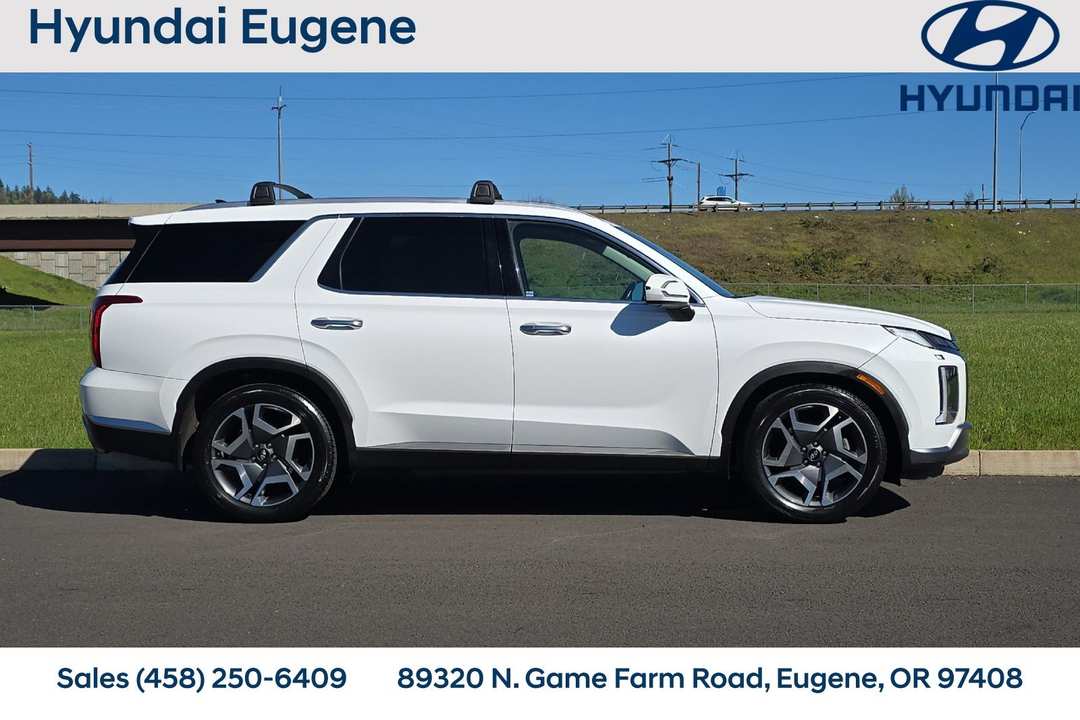 2024 Hyundai Palisade Limited - Image 2