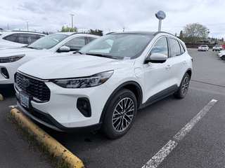 2023 Ford Escape STLine Select