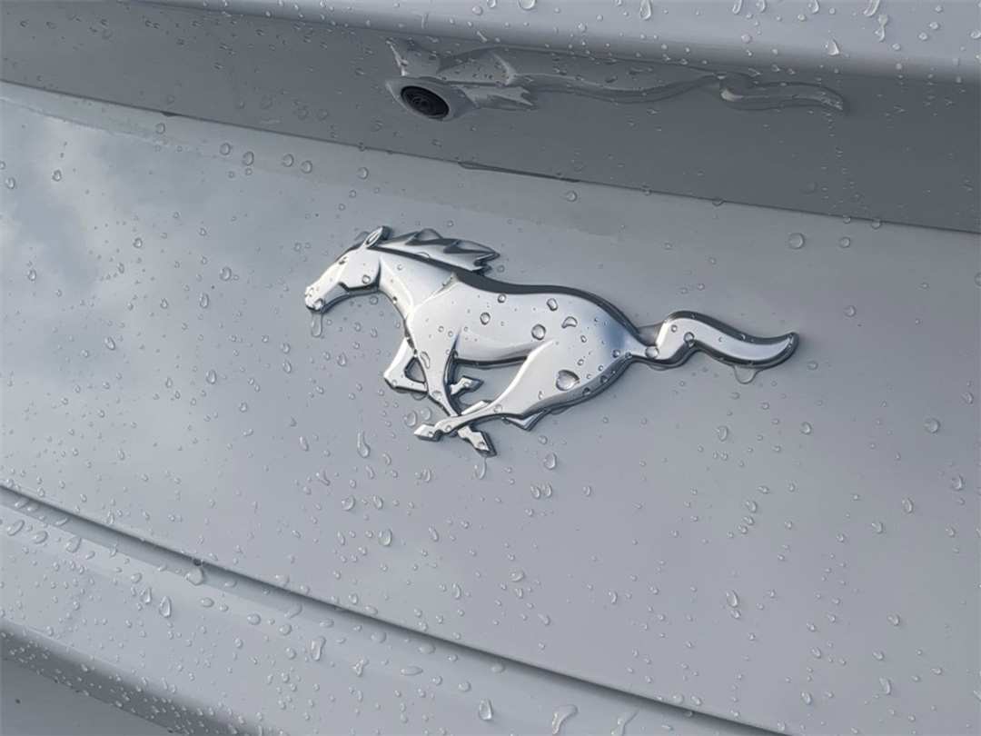 2026 Ford Mustang EcoBoost - Image 25