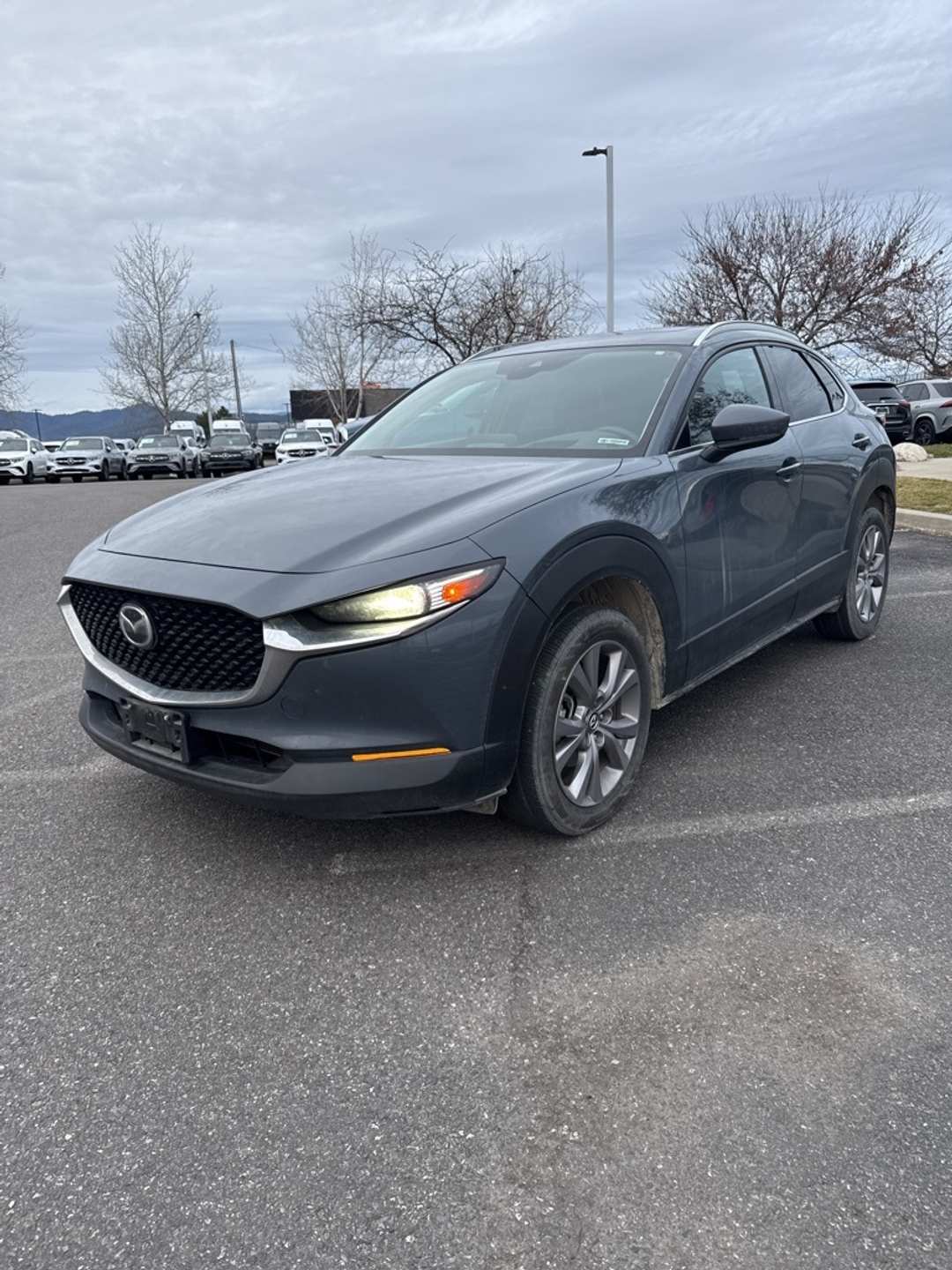 2021 MAZDA Cx-30 Premium - Image 3