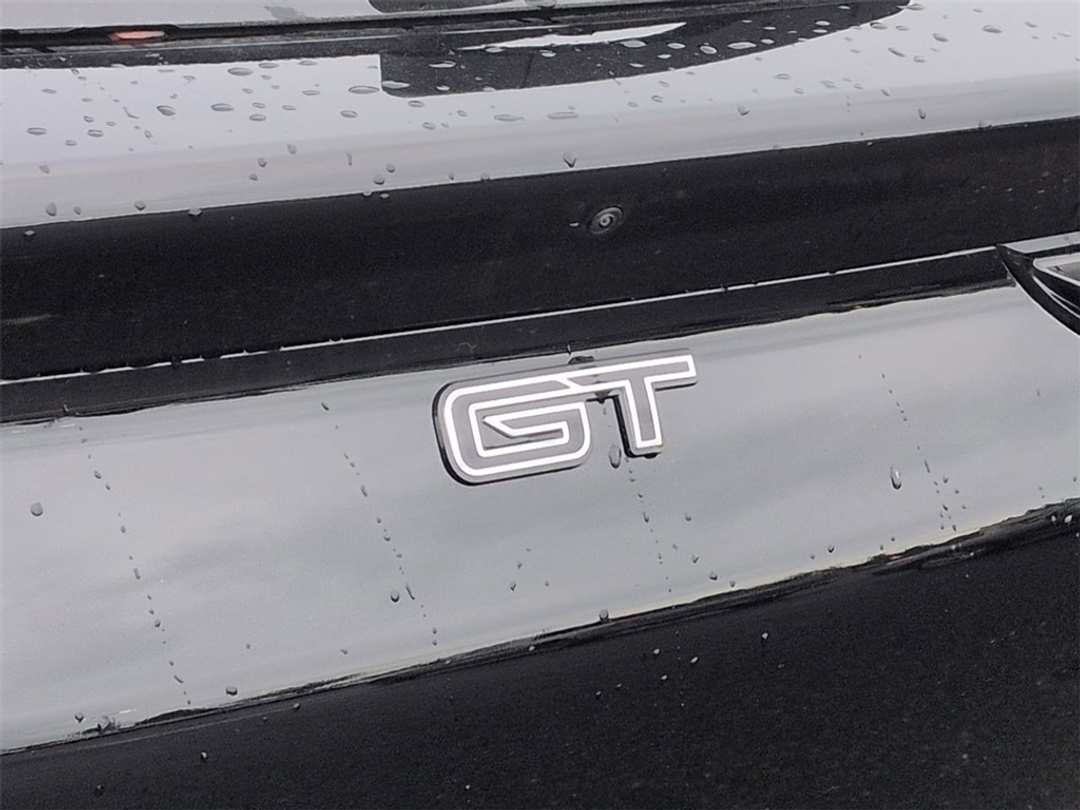 2025 Ford Mustang Mach-E GT - Image 28