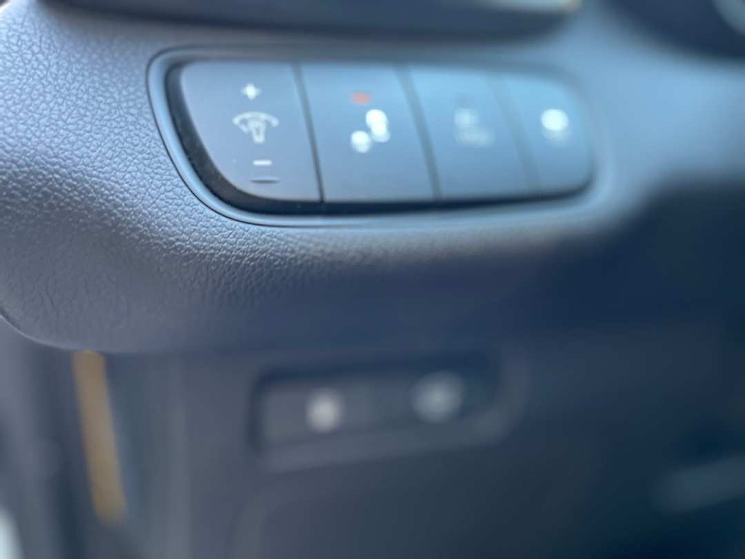 2016 Kia Sorento SX - Image 10