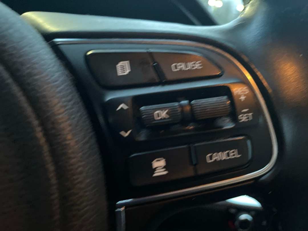 2020 Kia Niro Ev EX - Image 13