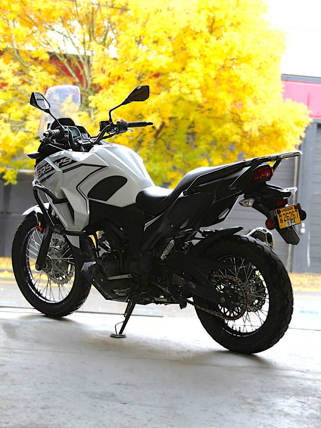 2020 Kawasaki Versys-X 300 - Image 2