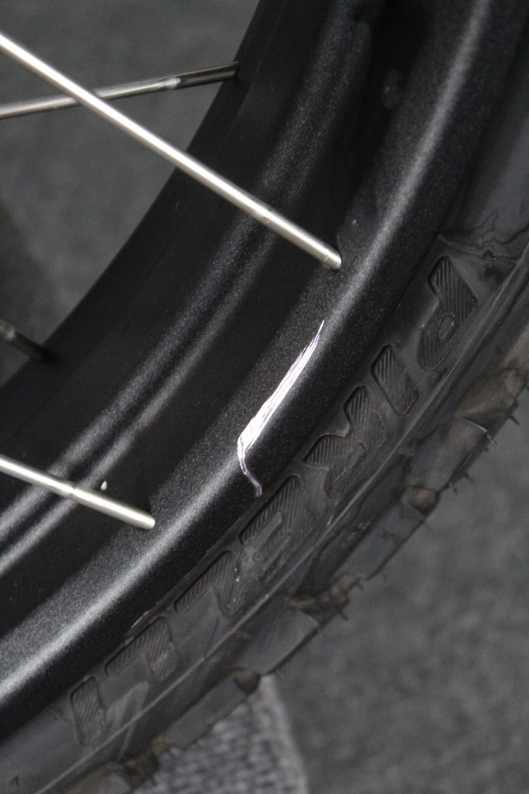 2023 Ducati Desertx - Image 9