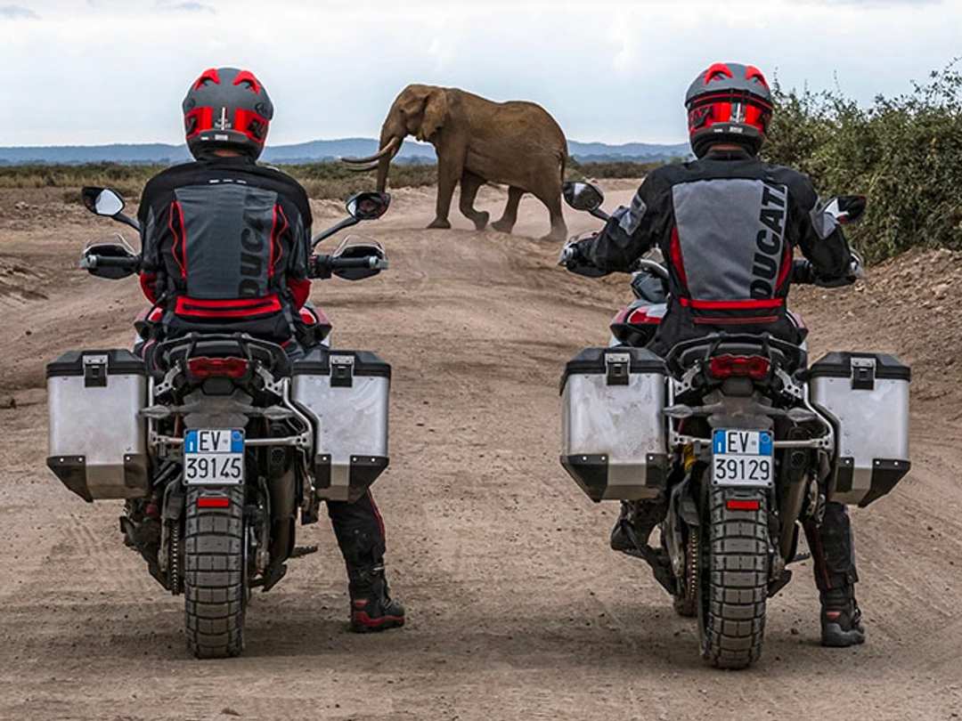 2024 Ducati Multistrada V4 Rally Adventure Travel & Radar - Image 16