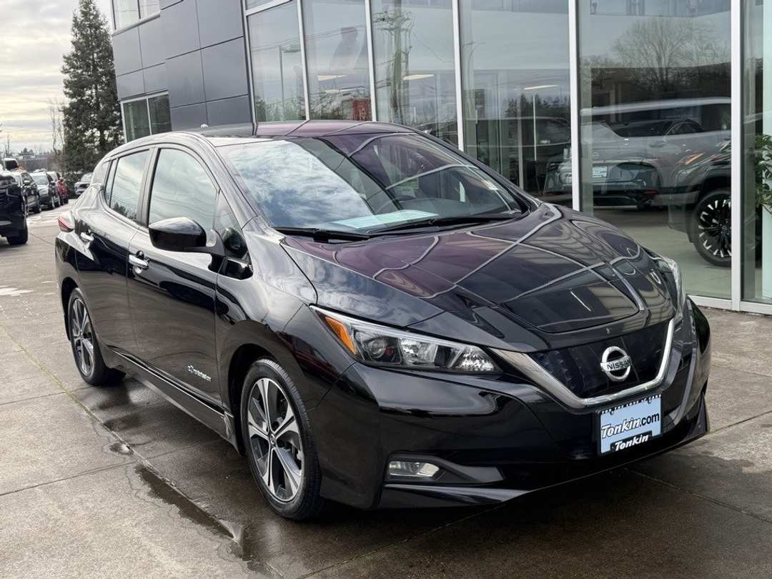 2019 Nissan LEAF SV - Image 2