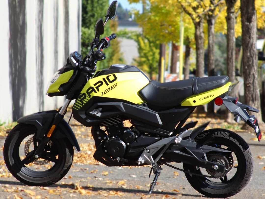 2023 CFMOTO Papio - Image 2