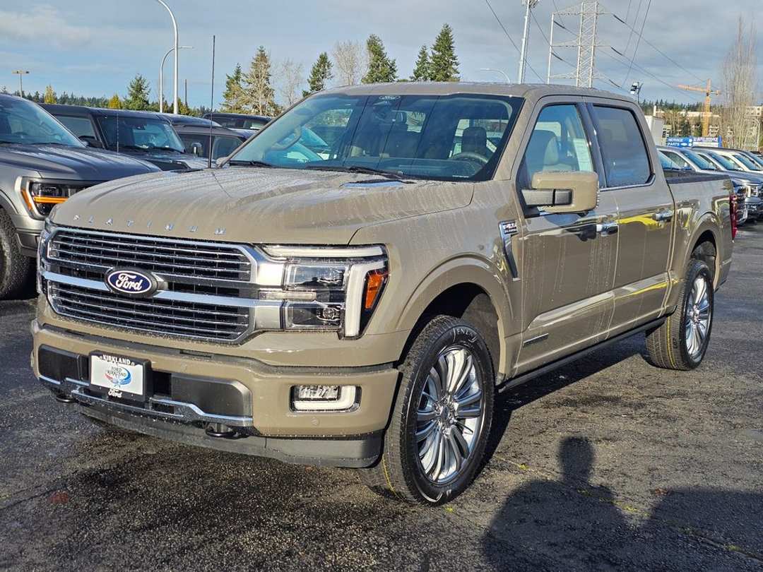 2025 Ford F-150 Platinum - Image 3