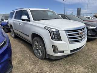 2019 Cadillac Escalade Esv ESV