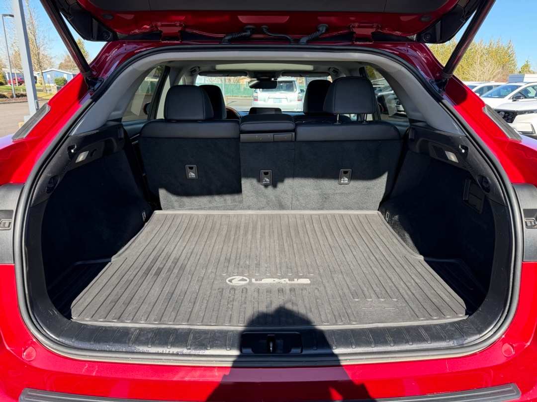 2021 Lexus RX 350 - Image 11