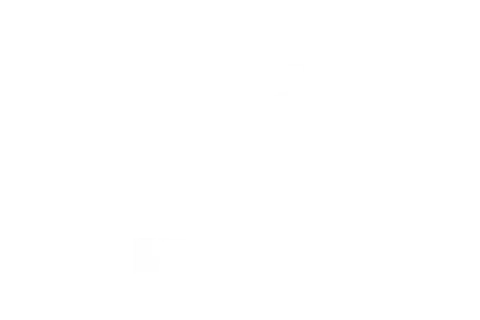 Ram image