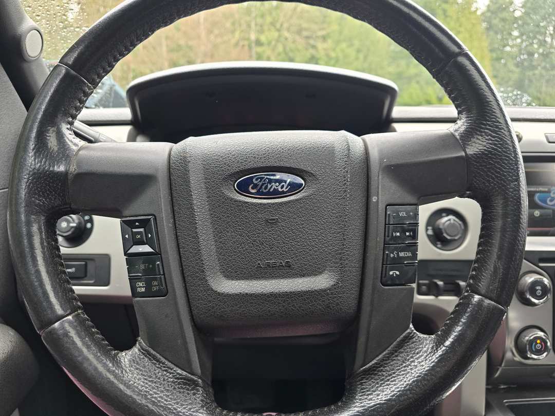2014 Ford F-150 FX4 - Image 3