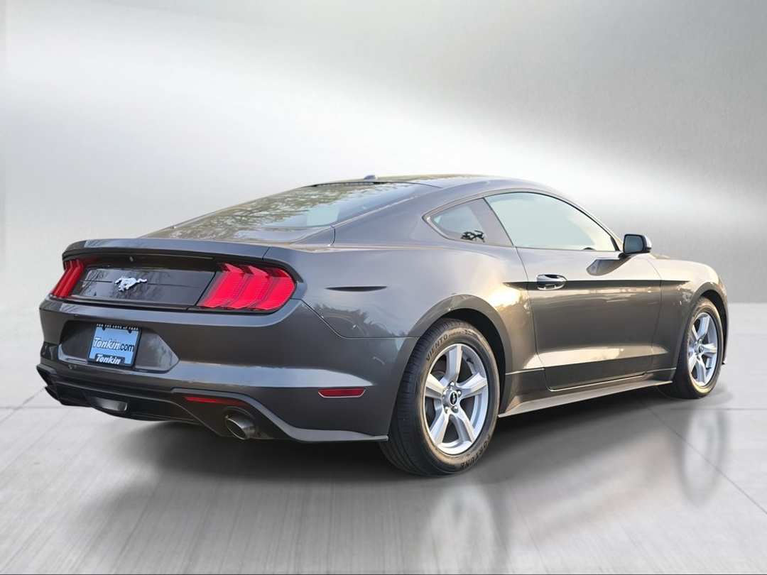 2019 Ford Mustang EcoBoost - Image 3