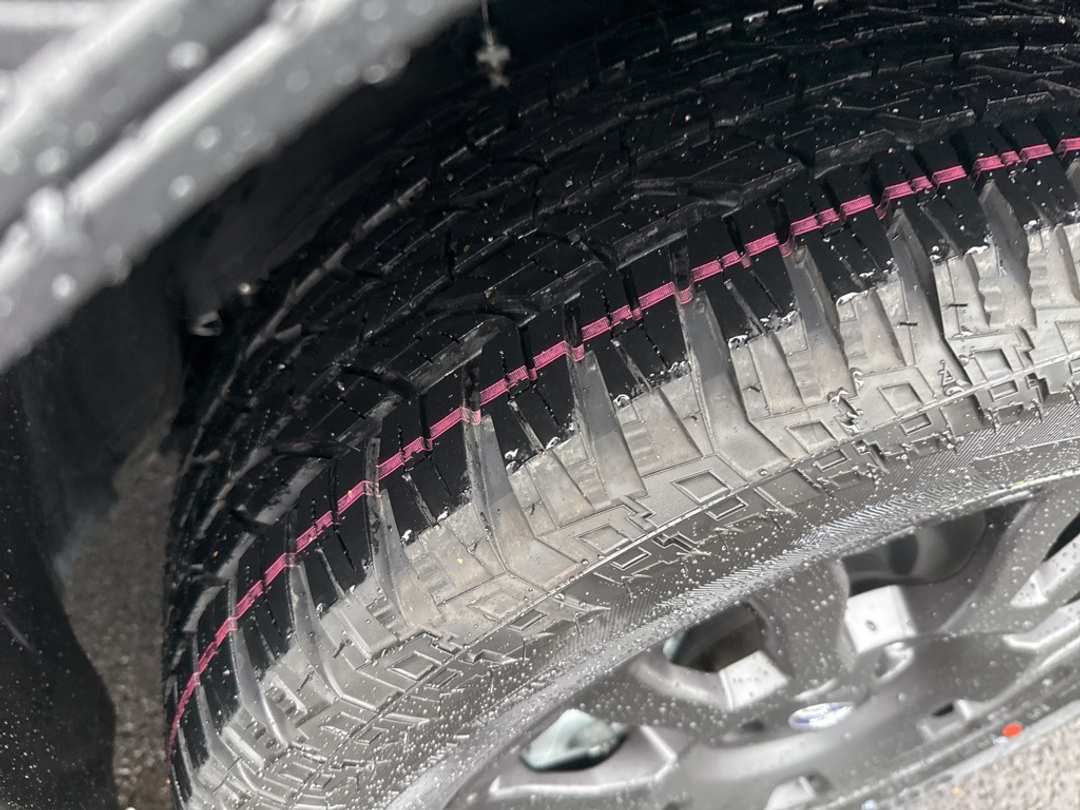 2026 Subaru Forester Wilderness - Image 10