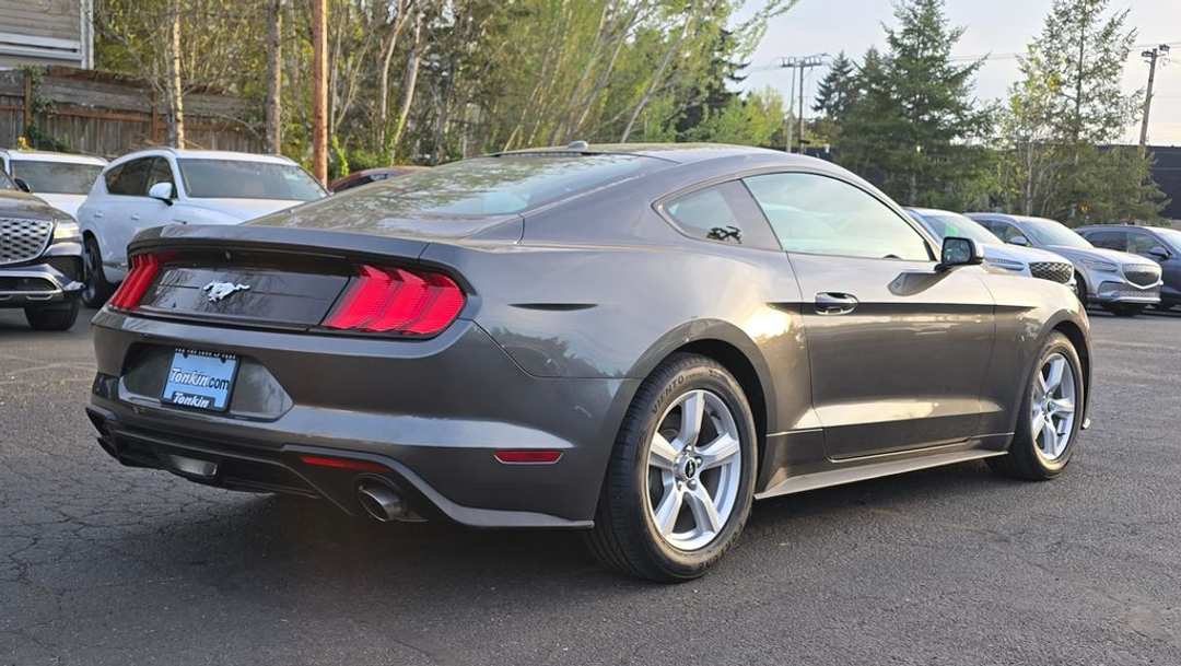 2019 Ford Mustang EcoBoost - Image 3