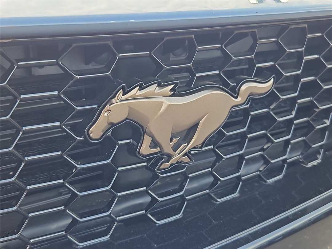 2025 Ford Mustang GT Premium - Image 27