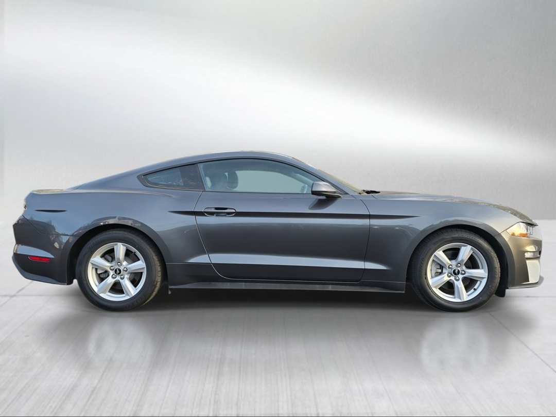 2019 Ford Mustang EcoBoost - Image 2