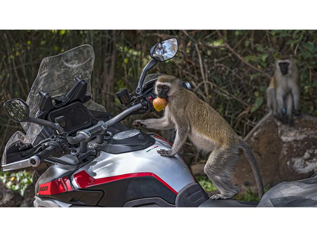 2025 Ducati Multistrada V4 Rally Adventure Travel & Radar - Image 23