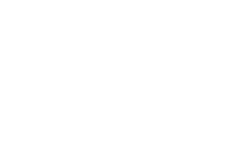 Tesla image