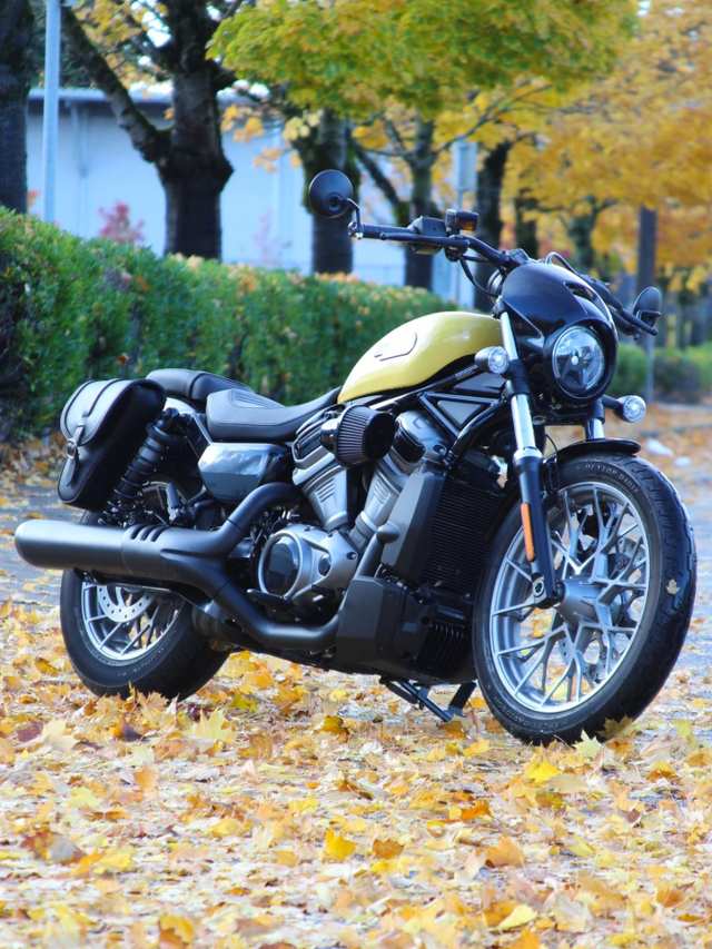 2023 Harley-Davidson Nightster® Special