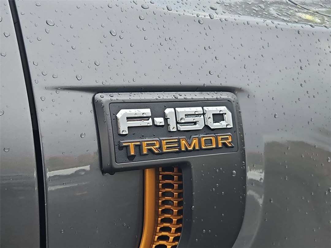 2025 Ford F-150 Tremor - Image 29