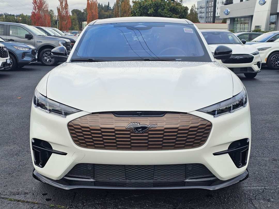 2025 Ford Mustang Mach-E GT - Image 2