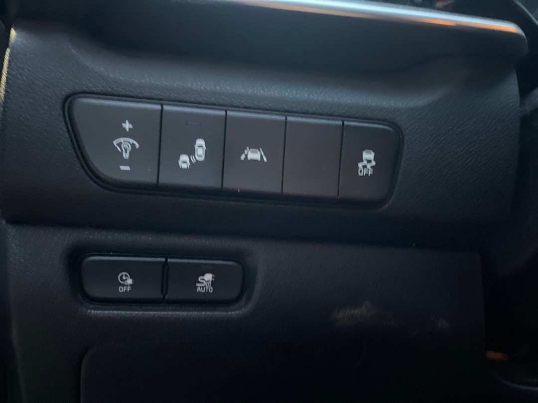 2020 Kia Niro Ev EX - Image 11