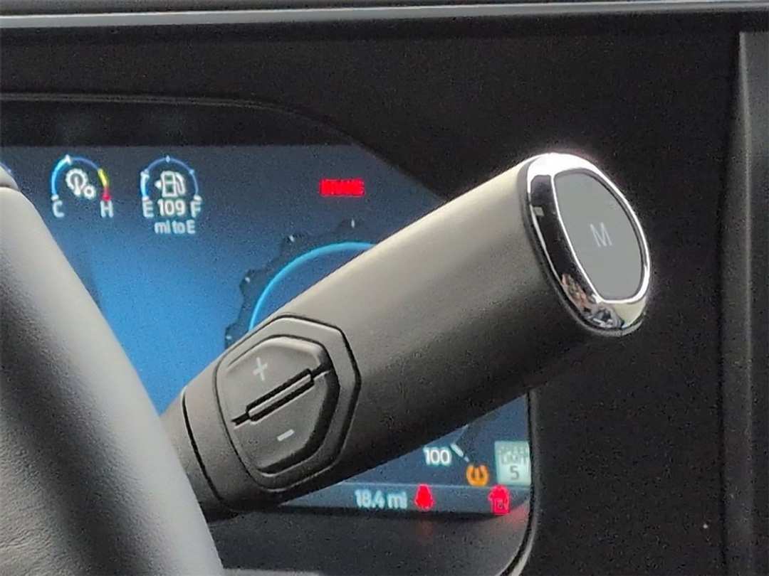 2026 Ford F-250Sd Platinum - Image 17